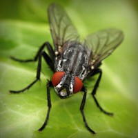 /album/%e3%83%9d%e3%82%b8%e3%83%86%e3%82%a3%e3%83%96%e3%81%aa%e6%80%a7%e6%a0%bc%e3%81%a0%e3%81%91%e3%81%a9%e7%9f%ad%e6%b0%97%e3%81%aa%e9%83%a8%e5%88%86%e3%81%8c%e3%81%82%e3%82%8b%e6%97%a6%e9%82%a3%e3%81%95%e3%82%93/photolia-a01-jpg/