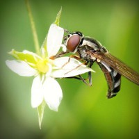 /album/%e3%83%9d%e3%82%b8%e3%83%86%e3%82%a3%e3%83%96%e3%81%aa%e6%80%a7%e6%a0%bc%e3%81%a0%e3%81%91%e3%81%a9%e7%9f%ad%e6%b0%97%e3%81%aa%e9%83%a8%e5%88%86%e3%81%8c%e3%81%82%e3%82%8b%e6%97%a6%e9%82%a3%e3%81%95%e3%82%93/photolia-a02-jpg/