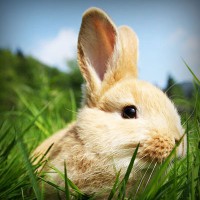 /album/%e3%83%9d%e3%82%b8%e3%83%86%e3%82%a3%e3%83%96%e3%81%aa%e6%80%a7%e6%a0%bc%e3%81%a0%e3%81%91%e3%81%a9%e7%9f%ad%e6%b0%97%e3%81%aa%e9%83%a8%e5%88%86%e3%81%8c%e3%81%82%e3%82%8b%e6%97%a6%e9%82%a3%e3%81%95%e3%82%93/photolia-a03-jpg/