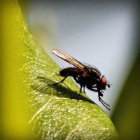 /album/%e3%83%9d%e3%82%b8%e3%83%86%e3%82%a3%e3%83%96%e3%81%aa%e6%80%a7%e6%a0%bc%e3%81%a0%e3%81%91%e3%81%a9%e7%9f%ad%e6%b0%97%e3%81%aa%e9%83%a8%e5%88%86%e3%81%8c%e3%81%82%e3%82%8b%e6%97%a6%e9%82%a3%e3%81%95%e3%82%93/photolia-a04-jpg/