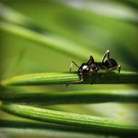 /album/%e3%83%9d%e3%82%b8%e3%83%86%e3%82%a3%e3%83%96%e3%81%aa%e6%80%a7%e6%a0%bc%e3%81%a0%e3%81%91%e3%81%a9%e7%9f%ad%e6%b0%97%e3%81%aa%e9%83%a8%e5%88%86%e3%81%8c%e3%81%82%e3%82%8b%e6%97%a6%e9%82%a3%e3%81%95%e3%82%93/photolia-a05-jpg/