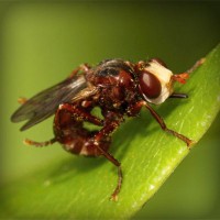 /album/%e3%83%9d%e3%82%b8%e3%83%86%e3%82%a3%e3%83%96%e3%81%aa%e6%80%a7%e6%a0%bc%e3%81%a0%e3%81%91%e3%81%a9%e7%9f%ad%e6%b0%97%e3%81%aa%e9%83%a8%e5%88%86%e3%81%8c%e3%81%82%e3%82%8b%e6%97%a6%e9%82%a3%e3%81%95%e3%82%93/photolia-a06-jpg/