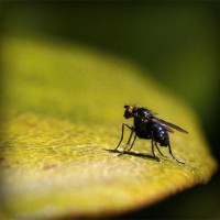 /album/%e3%83%9d%e3%82%b8%e3%83%86%e3%82%a3%e3%83%96%e3%81%aa%e6%80%a7%e6%a0%bc%e3%81%a0%e3%81%91%e3%81%a9%e7%9f%ad%e6%b0%97%e3%81%aa%e9%83%a8%e5%88%86%e3%81%8c%e3%81%82%e3%82%8b%e6%97%a6%e9%82%a3%e3%81%95%e3%82%93/photolia-a07-jpg/